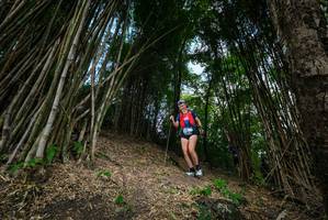 BIB: 
                            <button type="button" onclick="openModal(19395720)" class="btn btn-primary btn-sm float-right btn-popup" data-toggle="modal" data-target=".modal-high-quality">
                        <i class="fas fa-shopping-cart"></i> Add to Cart
                    </button>
                                            <button type="button" onclick="isThisMe(19395720, true)" class="btn btn-success btn-sm float-right btn-popup btn-isme hidden" data-toggle="tooltip" data-placement="bottom" title="นี่คือรูปของคุณใช่ไหม คลิกที่นี่เพื่อเอาเข้าอัลบั้ม">
                        <i class="fas fa-plus"></i> Add to album
                    </button>
                    <button type="button" onclick="isThisMe(19395720, false)" class="btn btn-warning btn-sm float-right btn-popup btn-isnotme hidden">
                        <i class="fas fa-ban"></i> Remove from album
                    </button>